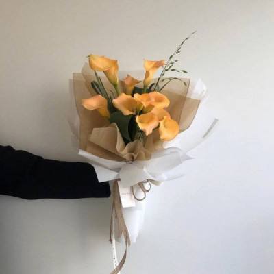 新万博全站app最新版