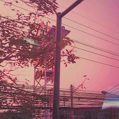 m6米乐手机登陆入口