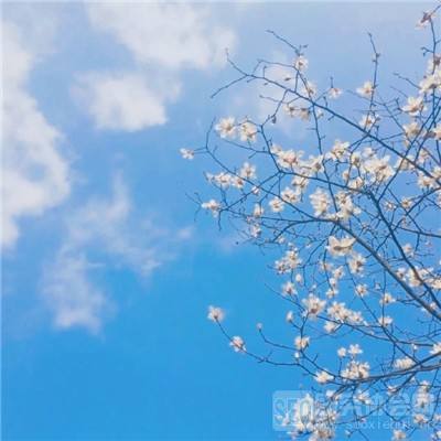 澳门威斯尼斯WNS888入口app下载