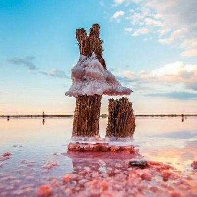 Kaiyun·开云体育截图