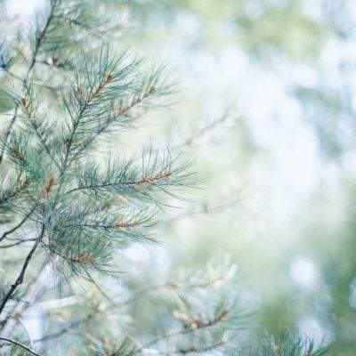 金年会体育截图