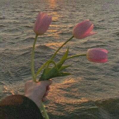 一分快3官方网址