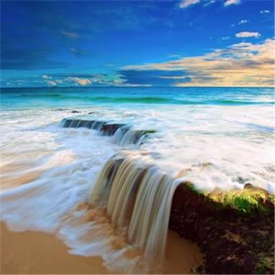 B体育官方网站下载