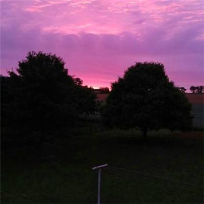 ManBetX客户端登录手机app下载