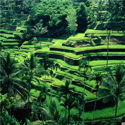 推店app足球彩票